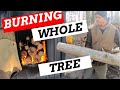 Burning A WHOLE TREE In Outdoor Wood Boiler