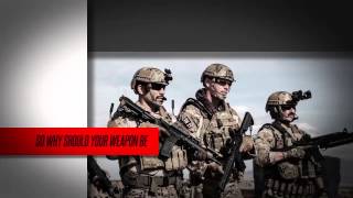 The Vltor Weapon Systems Praetorian