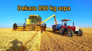 Arpa Hasadına Başladık Arpada Rekorumu Kırdım Yeni Finola Arpa Tohumu