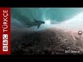 360 derece video: Antarktika'da buzların altındaki gizemli dünya