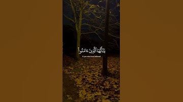 سورة الأحزاب #القارئ_فارس_عباد #دويتو #راحة_نفسية #فولو #duet #قران #لايك #اكسبلورر #حالات_واتس