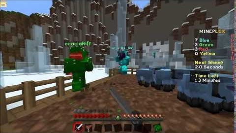 Mineplex Hacker Report 1