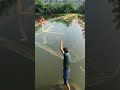 #short fishing cast net fishing 釣り 投網釣り