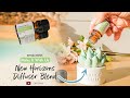 New horizons diffuser blend recipe