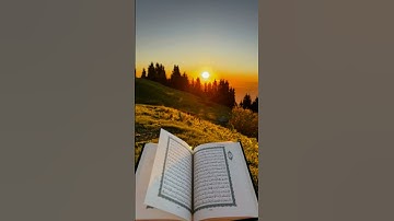 #quran #القرآن_الكريم #تلاوة_خاشعة #تلاوة_هادئة #قران_كريم