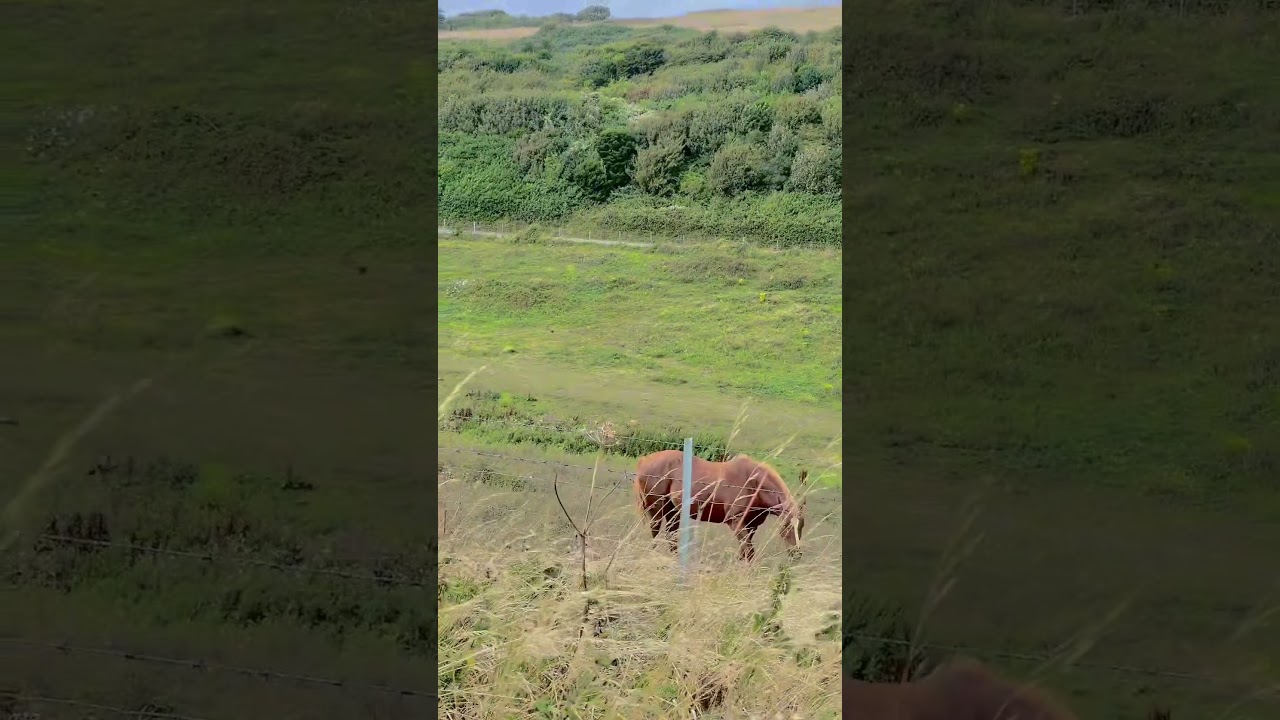 “52km done Folkestone ➝ White Cliffs ➝ back again 👣 Training for the big 100km trailwalk — 💪