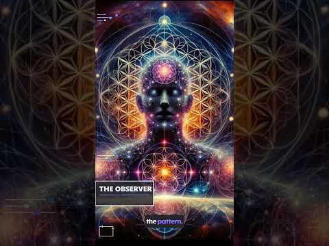 THE OBSERVER — Episode 4