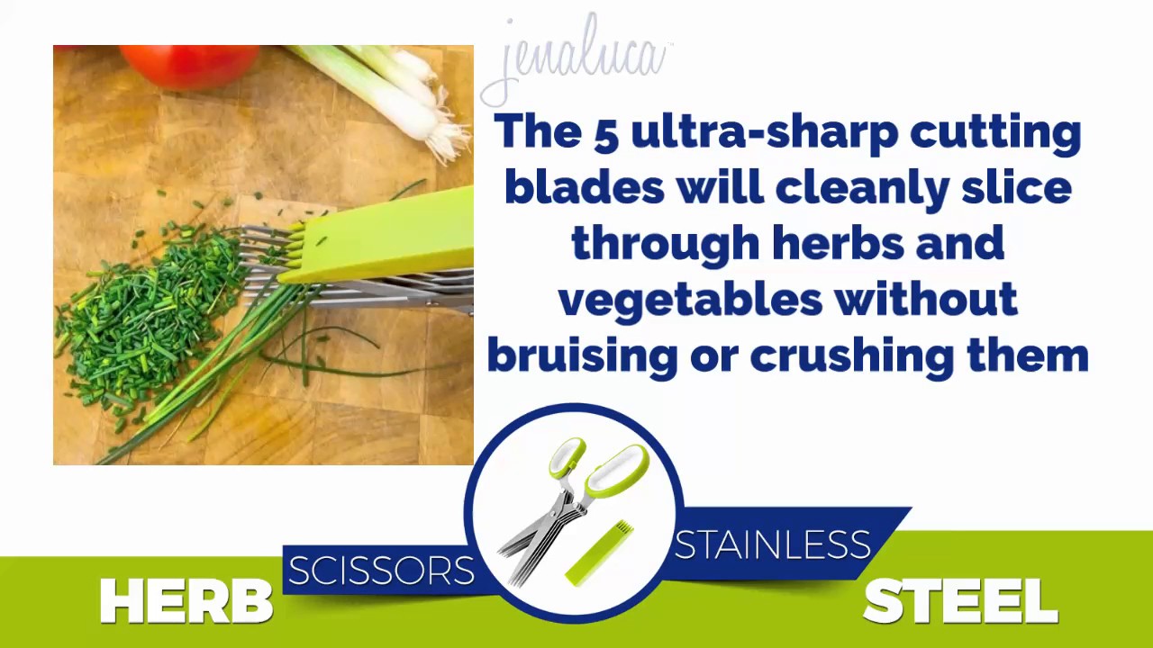 Jenaluca Stainless Steel Herb Scissors - Best Kitchen Gadget Ever!