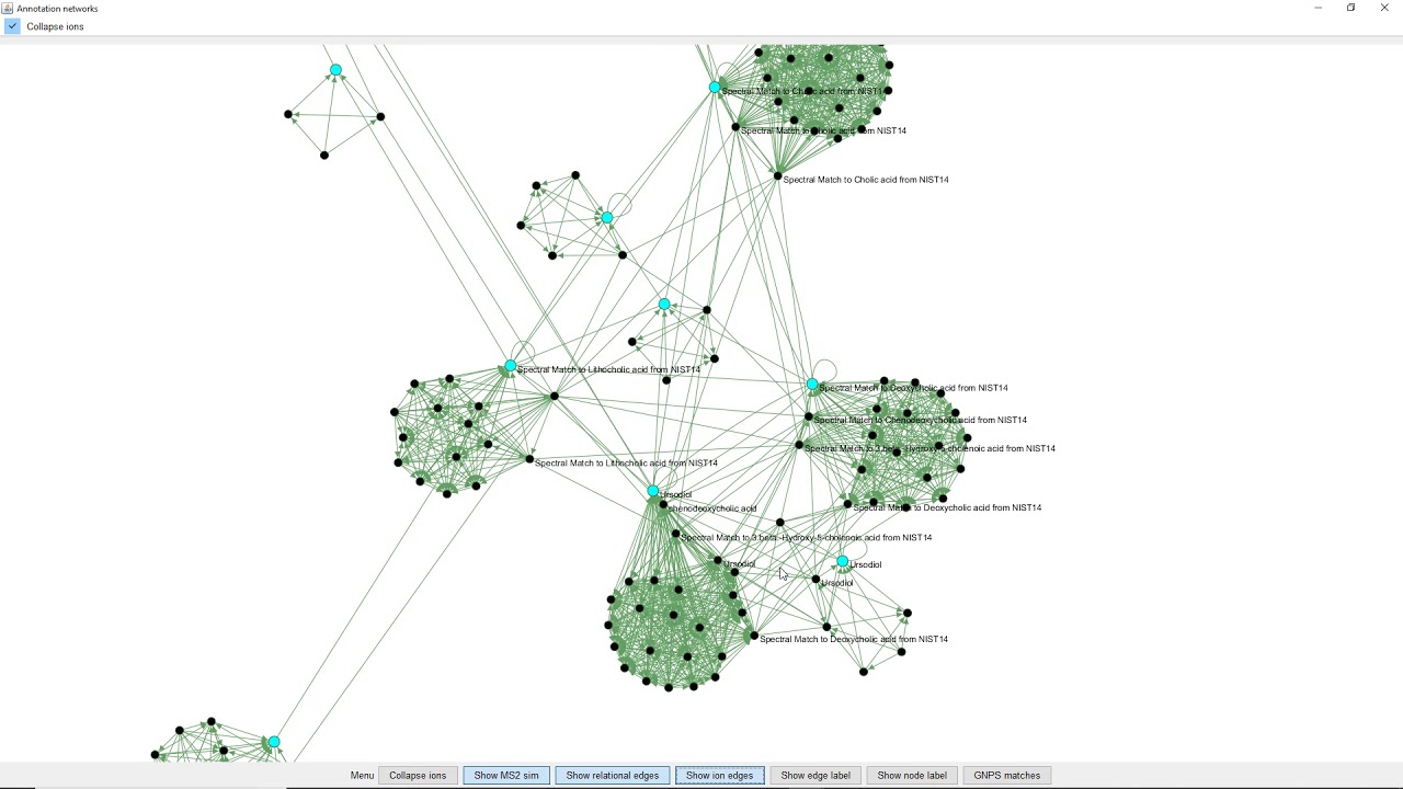 Ion Identity Networking - Results visualisation as collapsed merged networks