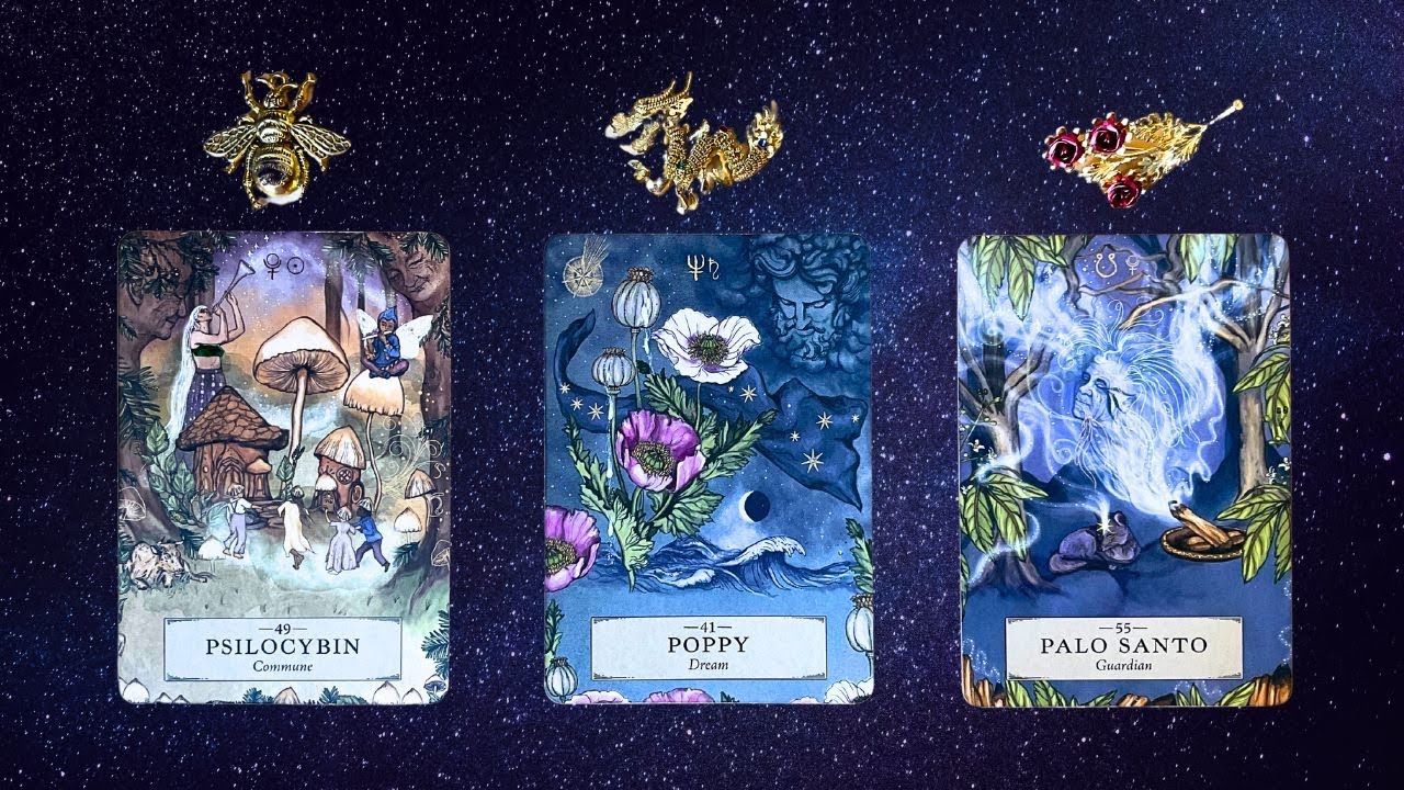 ♥️YOUR SPIRIT GUIDES♥️have a♥️BEAUTIFUL♥️OFFER♥️FOR YOU!!♥️tarot card reading✨timeless✨pick a card✨