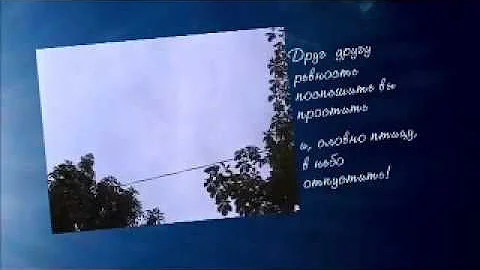 Запуск голубей на свадьбе...