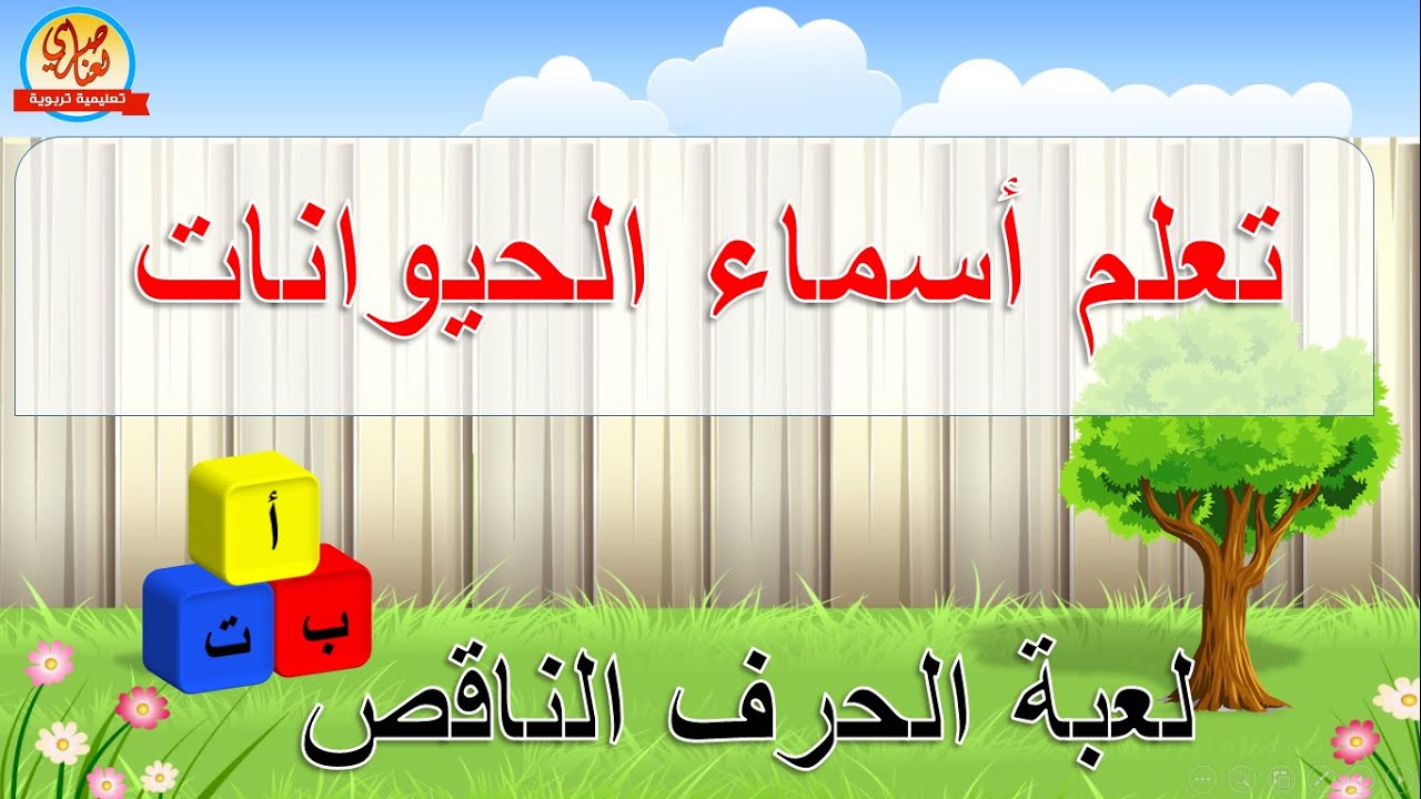 التحضيري والسنة الأولى
