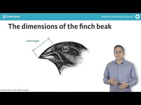 Python Tutorial: Statistical Thinking in Python II (Part 5)
