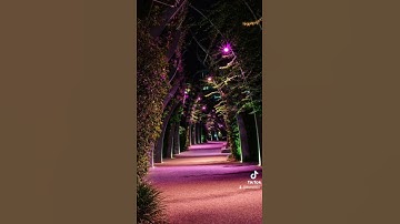 تلاوة مباركة للشيخ عبدالله القرافي