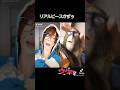 リアルピースかずぅ🧡ウケる編(TikTok2021)#安田一大 #かずぅ#かずぅTIKTOKまとめ