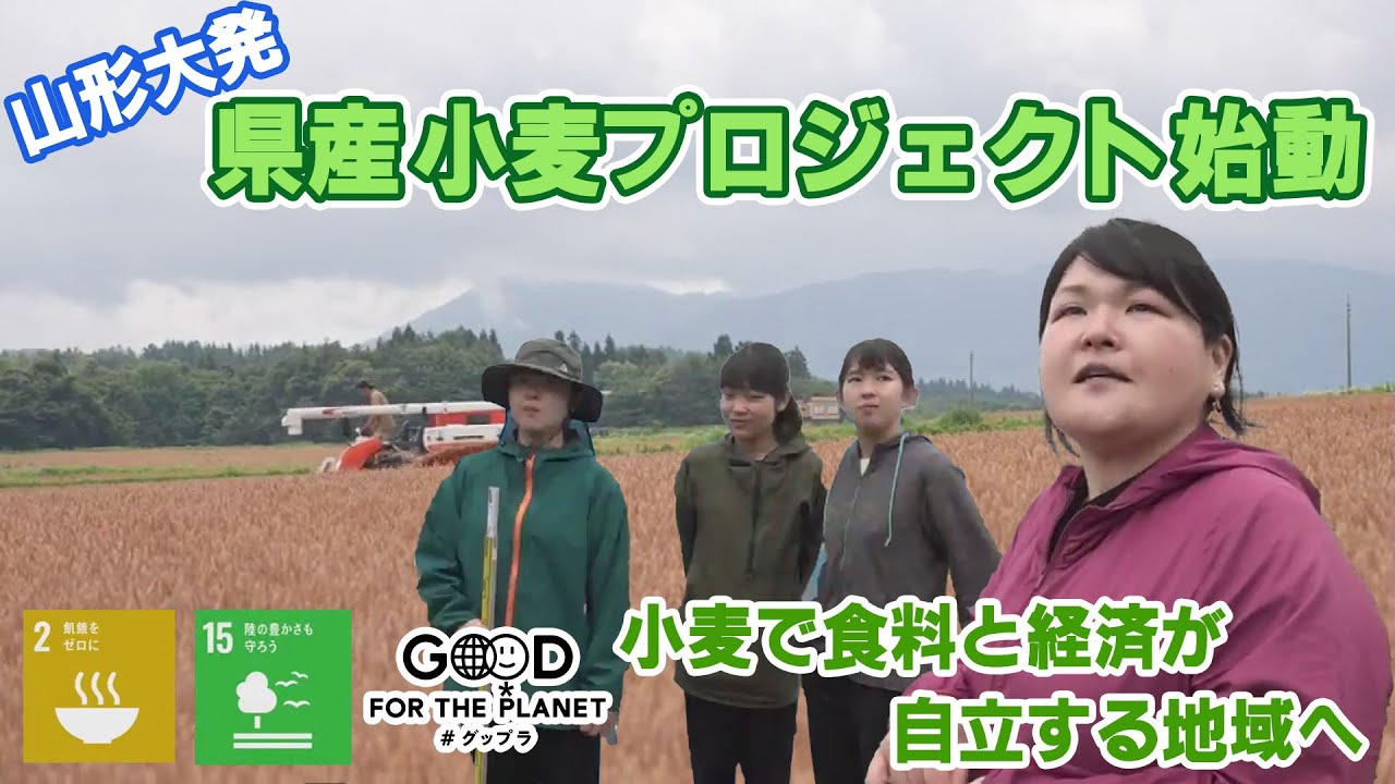 山形大学が目指す県産小麦で食料と経済が自立する社会とは？
