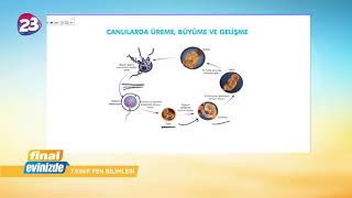 7. Sınıf Fen Bilimleri Dersi 10 Haziran 2020 Çarşamba Final Yayınları