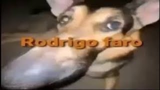 Rodrigo Faro Breakcore Remix 100% Atualizado 2022