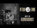 Combichrist  | Live at M'era Luna Festival 2019 [Highlights]