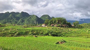 PÙ LUÔNG BẢN ĐÔN khu du lịch nghỉ dưỡng đang hót. #hungluongvlog