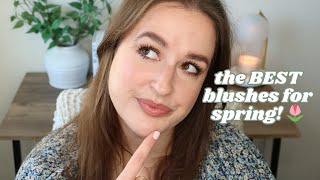 SPRING BLUSHES! blush wardrobe project pan 2025