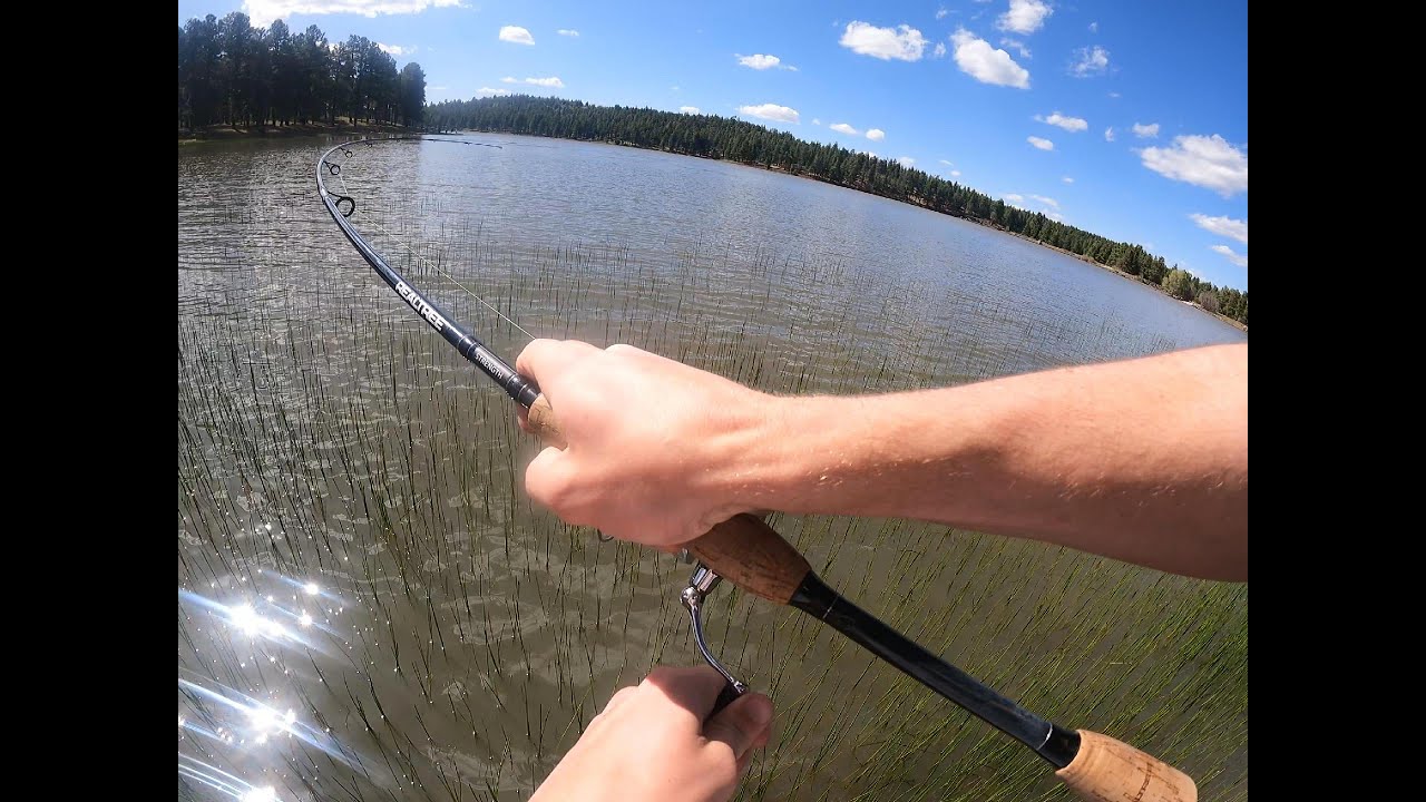 FINALLY got a bass – Fishing Vlog (EXPLICIT LANGUAGE)
