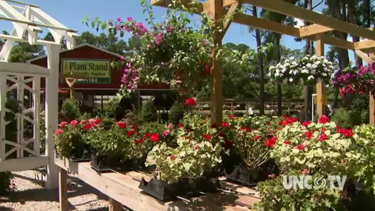 uctv movies The Friendly Market | NC Weekend | UNC-TV