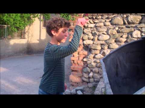 ერთად დავიცვათ გარემო