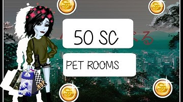 50 sc pet rooms // msp - angel
