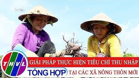 Nông thôn ngày nay: Giải pháp thực hiện tiêu chí thu nhập tại các xã nông thôn mới