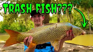 I Ate My First Ever Buffalo Carp! (Is It REALLY A TRASH Fish???)