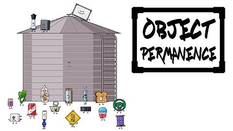 Object Permanence Intro (LAST VERSION)