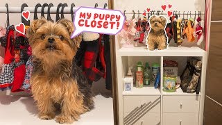 I never thought I would say this... but I built my dog a closet! Want more Ruby!? Follow her here - rubyis_love Building My Dog A 