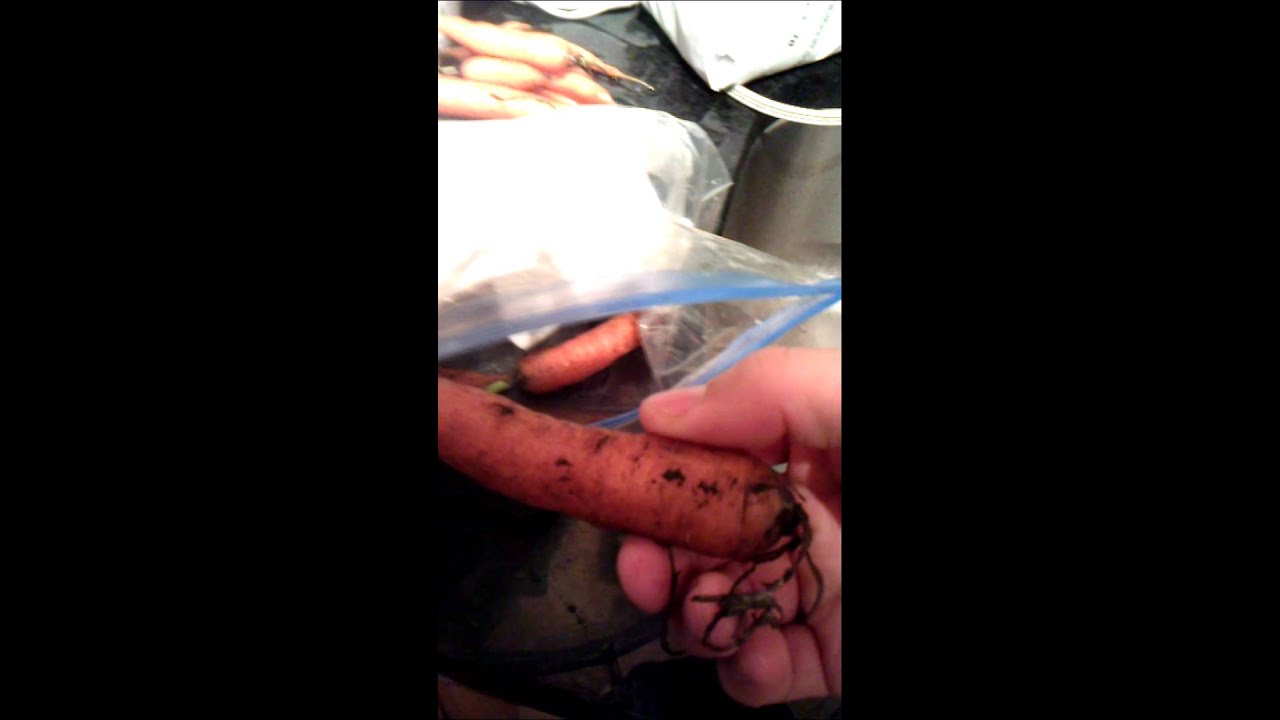 How to Store and Keep Carrots and Potatoes Fresh - YouTube