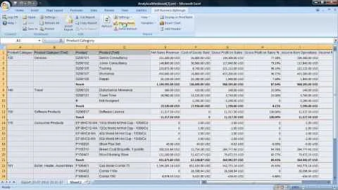 Using SAP Business ByDesign Analytics to Manage Financial Performance: Solution Demo