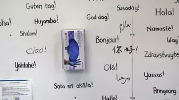 Meta expands AI translation to 200 languages but experts suggest talking to native speakers