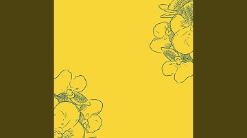 Exquisite Ambiance for Comfortable Afternoon