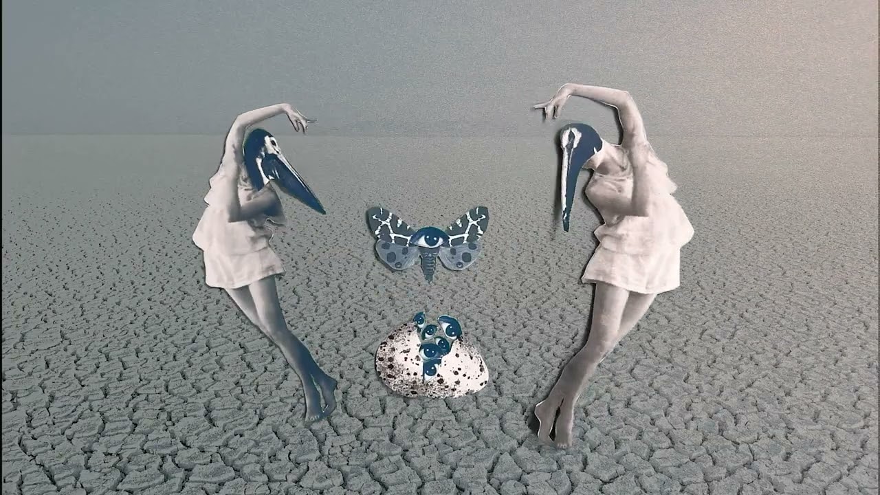 "Shapeshift" by Suzanne Sbarge