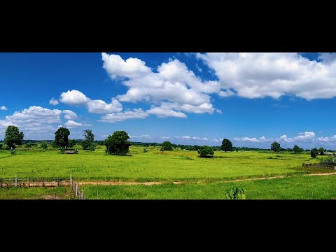 အကောက်တောင် , ပြည်