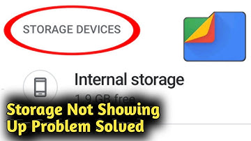 Google Files Storage Not Showing Up Problem Solved