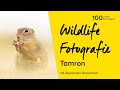 Wildlife-Fotografie mit dem Tamron SP 150-600mm f/5-6.3 | Online Fototage Foto Koch