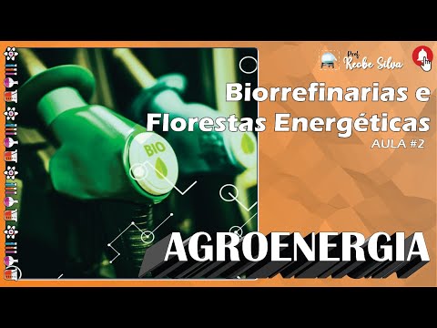 Vídeo: Uma Biorrefinaria Sustentável Para Converter Resíduos Agrícolas Em Produtos Químicos De Valor Agregado