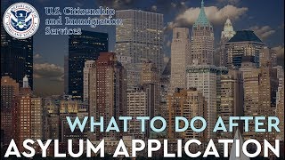 What to Do After You Apply for Asylum?