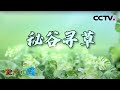 揭秘山谷动物离奇死亡的真相 植物传奇·秘谷寻草 20200818 |《地理·中国》CCTV科教