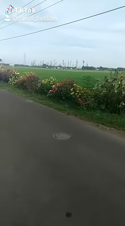 Teri Meri - Heeba Hawa ~ Cover MP4 By Anita Mufaddilah