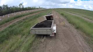 DAY IN A LIFE OF A MACADAMIA FARMER