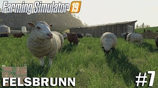 THE SHEEP ARE HERE| Felsbrunn | Timelapse #7 | Farming Simulator 19