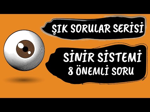 SİNİR SİSTEMİ İLE