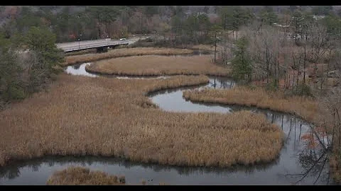 AccessVB Monthly Highlights Show - December 2019