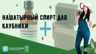 Нашатырный спирт для клубники